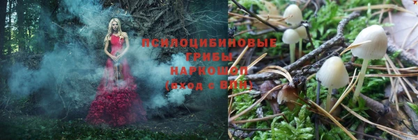 мет Аркадак